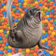 Cash Seal 5464