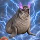 3032