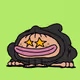 TOADZERS #2273