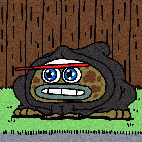 TOADZERS #951