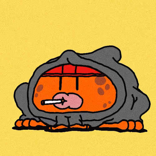 TOADZERS #3105
