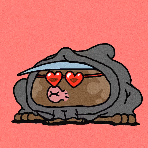 TOADZERS #178