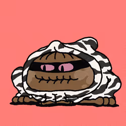 2510