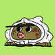 TOADZERS #857