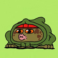 TOADZERS #1653