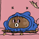 508