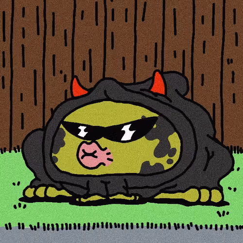 TOADZERS #1997