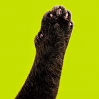 CATARM