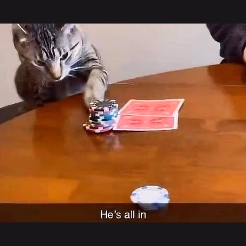 ALLIN