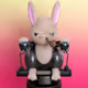 Rabbit #2924