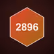 2896
