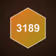 3189