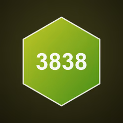 3838