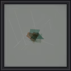 Robinhood Frames #870