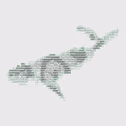 NTRPY #1206