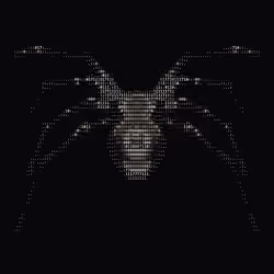 NTRPY #424