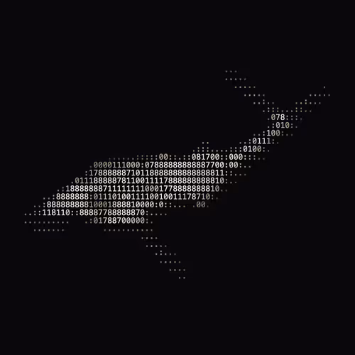 NTRPY #2417