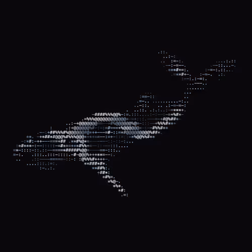 NTRPY #385