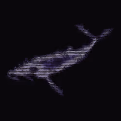 NTRPY #766