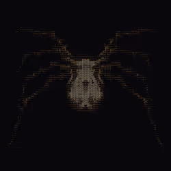 NTRPY #554