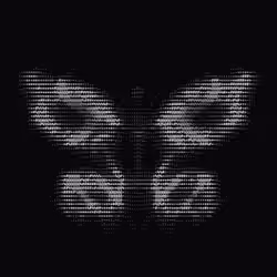 NTRPY #346