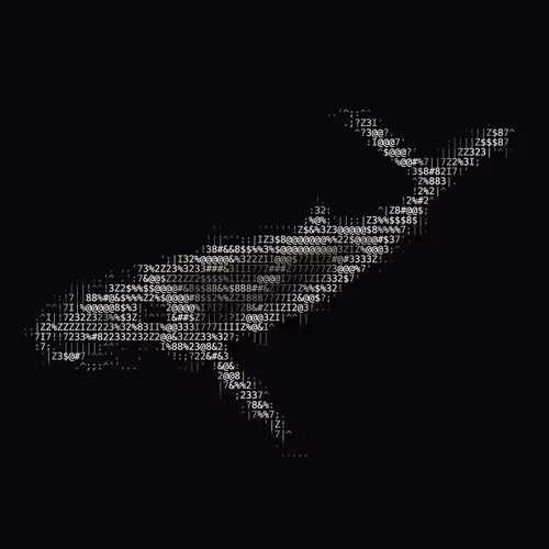 NTRPY #2993