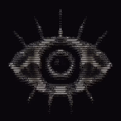 NTRPY #3147