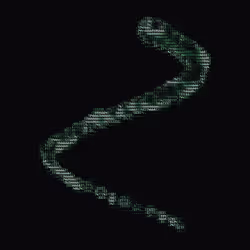 NTRPY #2928
