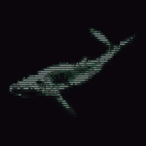 NTRPY #39