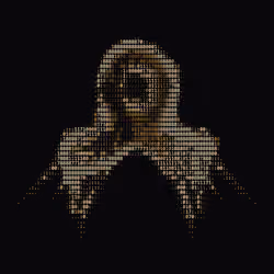 NTRPY #3041