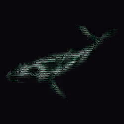 NTRPY #2215