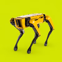 SPOTDOG