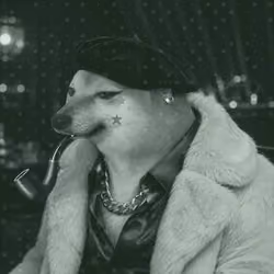 Pipe Dogs #8434