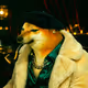 Pipe Dogs #6268