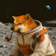 6882
