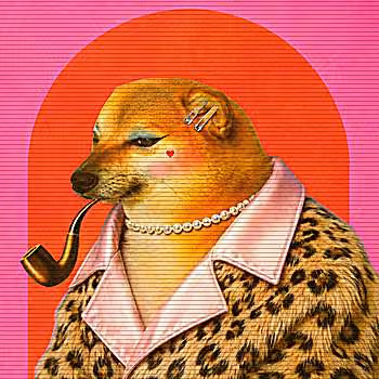 Pipe Dogs #4114