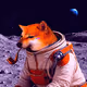 8260