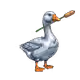 5127