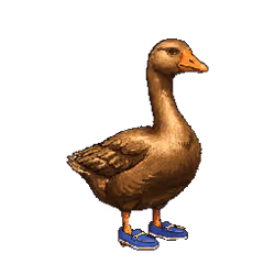 1134
