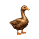 4901