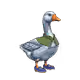 3675