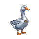 4411