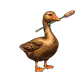 846