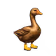 7958
