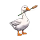 6258