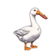 6510