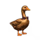 1848