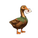 5670