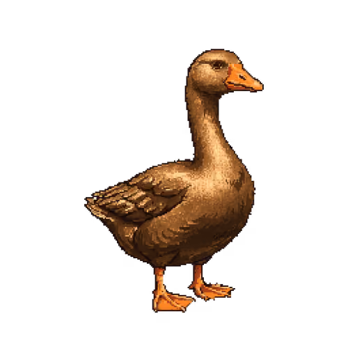 Item #7979 Media