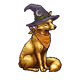 5252